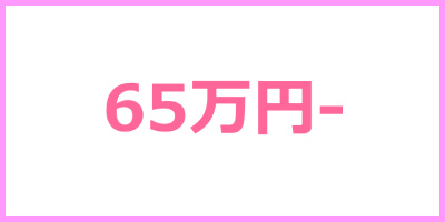 65-万円から選ぶ